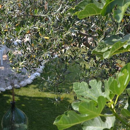 Giardinotto Casa Vacanze Altino  Екстер'єр фото